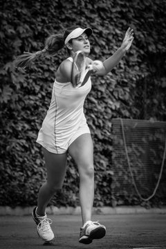 Ausschnitte 2444 - -